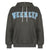 fleece-thick-warm-hoodie-oversized-pullover-casual-letter-embroidery-preppy-style-sweatshirt-5
